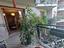 Immagine 12