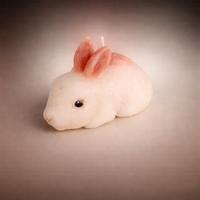 candela  coniglietto con orecchie marrone