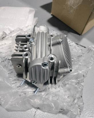 testata motore pit bike gpx 155 nuova