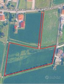 Terreno agricolo Prozzolo di Camponogara