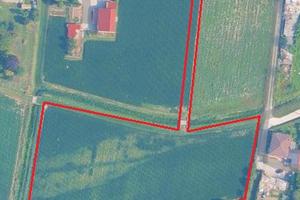 Terreno agricolo Prozzolo di Camponogara