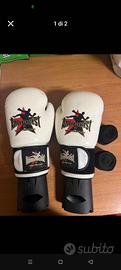 boxe/kickboxing  guanti 