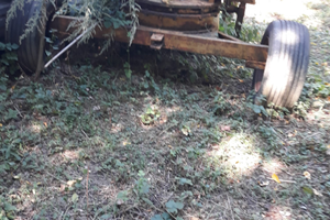 Carricatrice legname