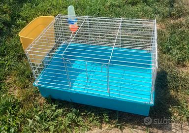 gabbietta per conigli nani e roditori 