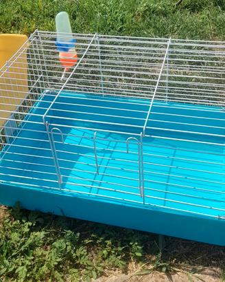 gabbietta per conigli nani e roditori 