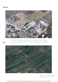 Terreno, Salemi.
