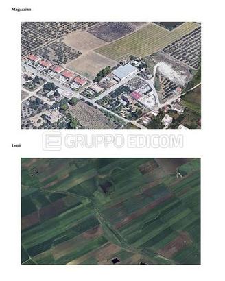 Terreno, Salemi.