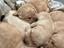 Immagine 6