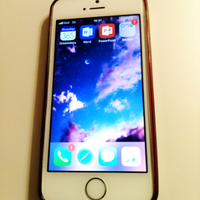 IPhone 5s in perfette condizioni