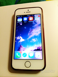 IPhone 5s in perfette condizioni