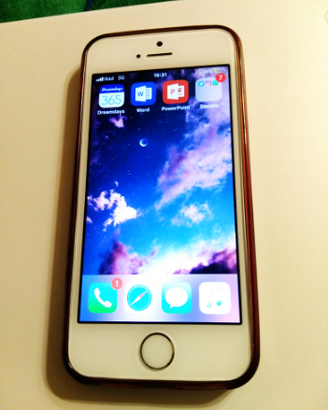 IPhone 5s in perfette condizioni