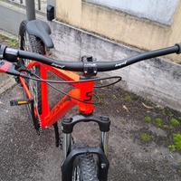 Wheelie bike 29"