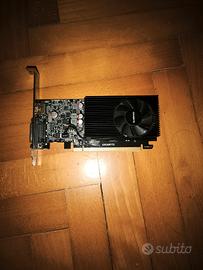 Scheda video Nvidia Gigabyte GT 1030 2gb