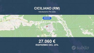 Immobile in asta di 102 m² a Ciciliano