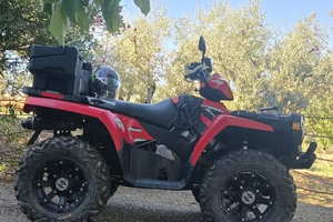 Quad Polaris