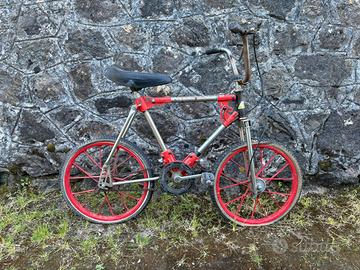 Bici Il Formicone Paioli, Francesco Moser