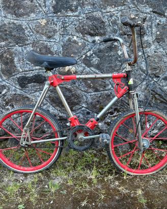 Bici Il Formicone Paioli, Francesco Moser