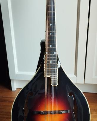 Mandolino The Loar LM-300-VS