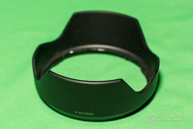 Paraluce Lumix H-FS12060