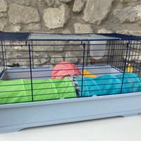 Gabbia coniglio nano con accessori