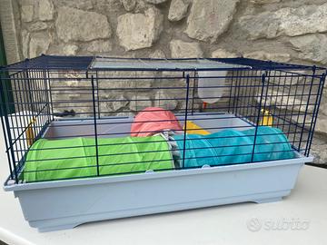 Gabbia coniglio nano con accessori