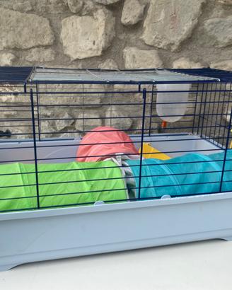 Gabbia coniglio nano con accessori