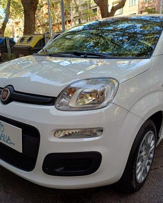 FIAT Panda Pandina 1.0 FireFly S&S Hybrid Icon V