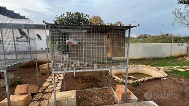 Gabbia  per pappagalli grandi