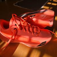 Nike Jordan Luka 77 - Numero 46