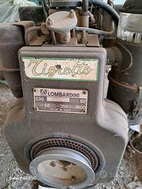 Motozappa Tigrotto