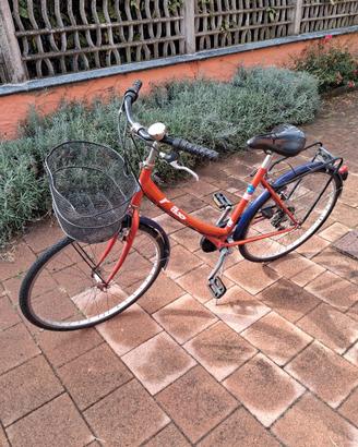 bicicletta donna