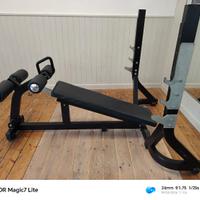 PANCA DECLINE TECHNOGYM