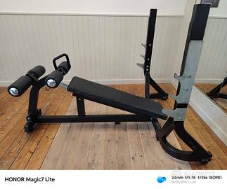 PANCA DECLINE TECHNOGYM