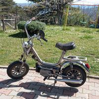 Mini-Califfo Rizzato 50 da Collezione