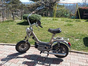 Mini-Califfo Rizzato 50 da Collezione