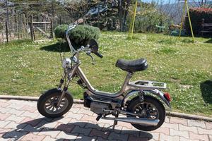 Mini-Califfo Rizzato 50 da Collezione