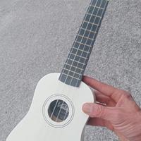 Ukulele nuovo