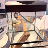 Acquario completo pronto all’uso