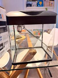 Acquario completo pronto all’uso