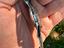 Immagine 5