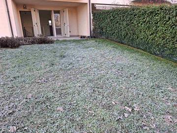 Rif.869-D| appartamento ind. bilocale