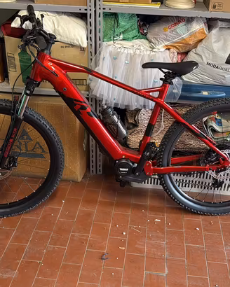 Bici mtb elettrica