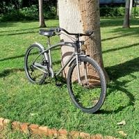 Bicicletta Cruiser