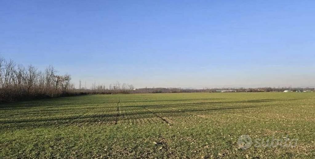 Immobile in asta di 54095 m² a Dairago - Vista 3
