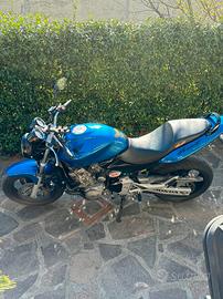 honda hornet 600 2005