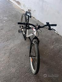 Bici 24”
