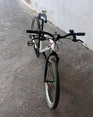 Bici 24”