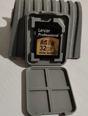 Scheda di memoria SD Lexar Professional 32GB 600x