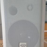 diffusore cerwin Vega SDS 525-T