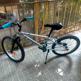 Bicicletta 20 pollici